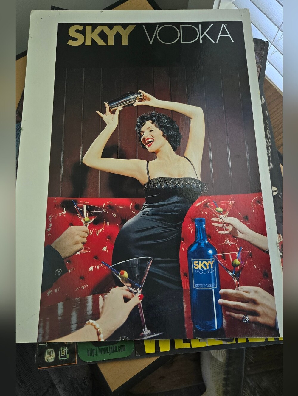Skyy Vodka Poster Y2k Vintage